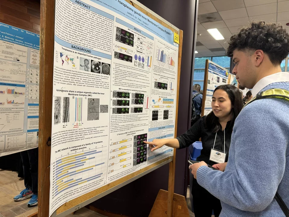 a student describing her poster to someone else