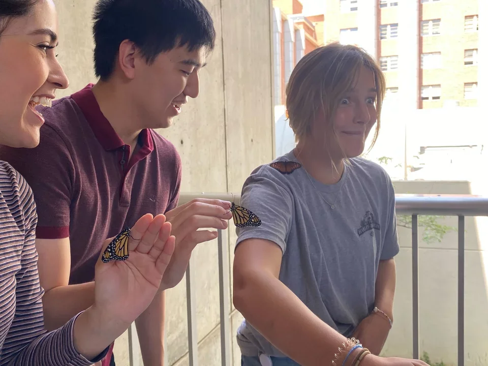 A lab member is surprised by a Monarch butterfly climbing on her shoulder. She makes a funny face.