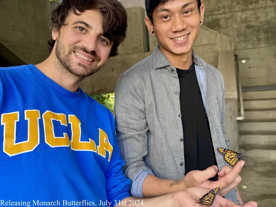 two students releasing monarch butterflies
