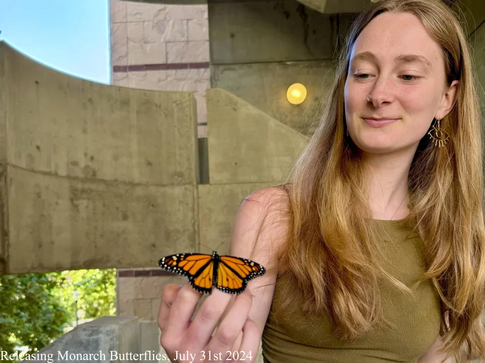 a girl holding a monarch butterflies