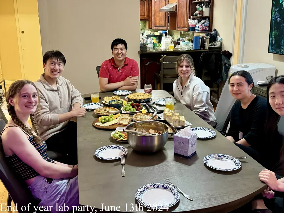 6 undergraduates eating dinner at an apartment