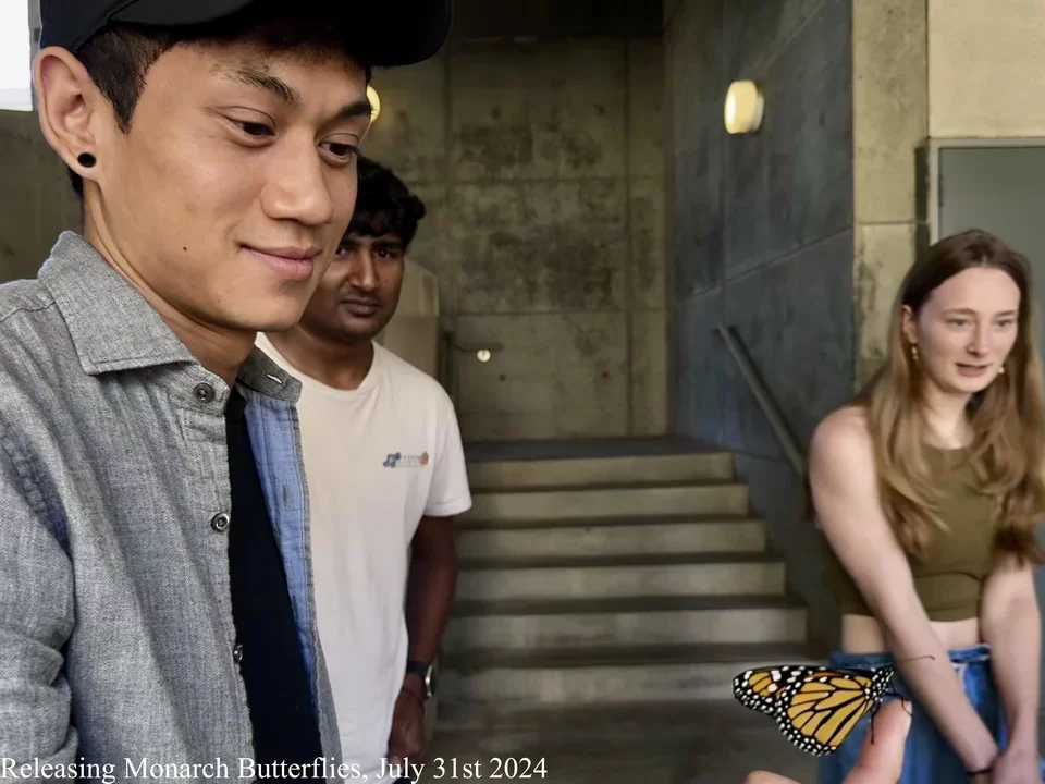 students releasing monarch butterflies