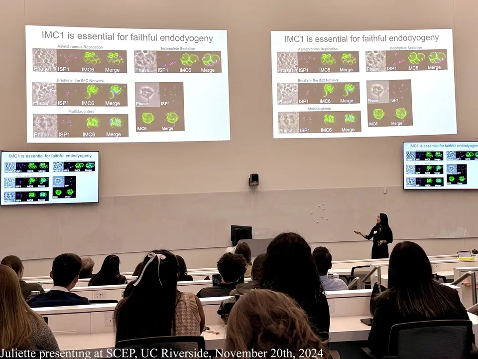 Juliette presenting a talk