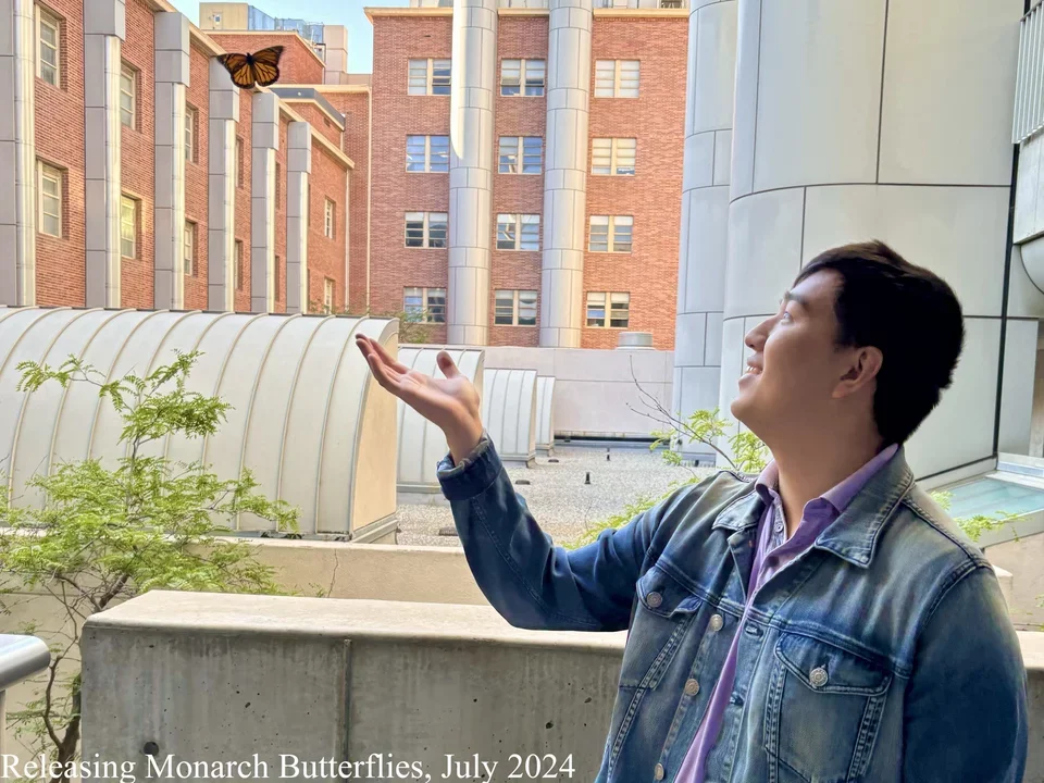 a student releasing monarch butterflies